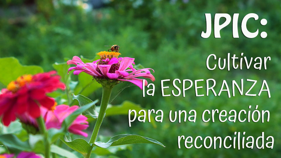 JPIC: Cultivar la esperanza para una creación reconciliada