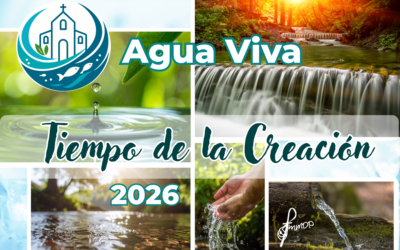 Comienza el Tiempo de la Creación